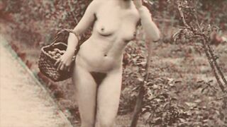 Dark Lantern Entertainment presents '100 Years Of Sex In Nature'