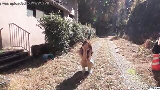 Japanese MILF Maki Hojo uncensored public nudity